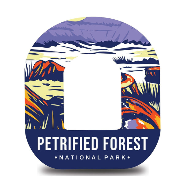 Petrified Forest National Park Omnipod Tape