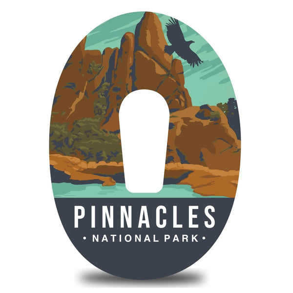 Pinnacles National Park Dexcom G6 Tape